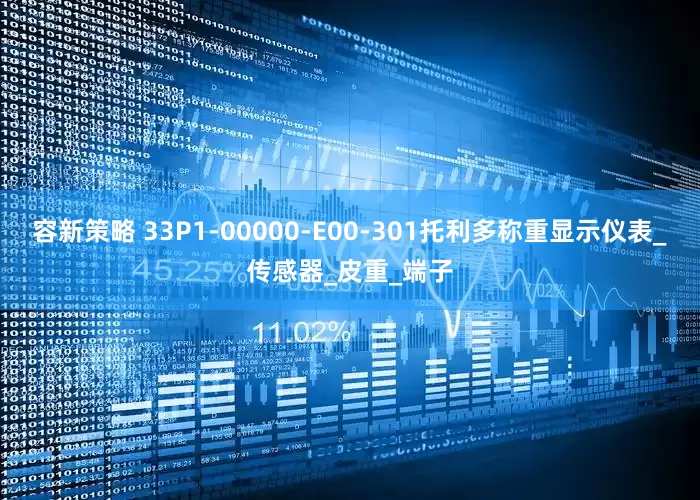 容新策略 33P1-00000-E00-301托利多称重显示仪表_传感器_皮重_端子