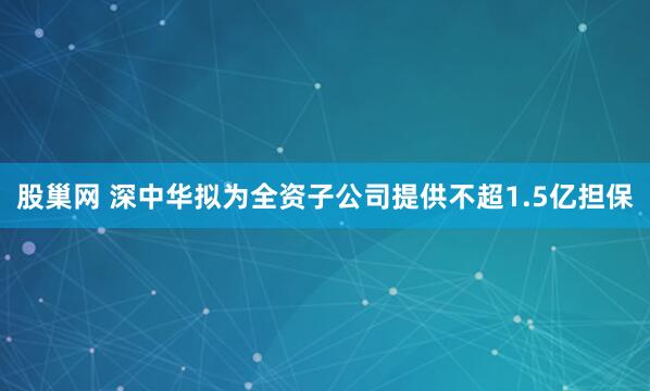 股巢网 深中华拟为全资子公司提供不超1.5亿担保