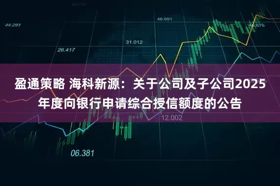 盈通策略 海科新源：关于公司及子公司2025年度向银行申请综合授信额度的公告